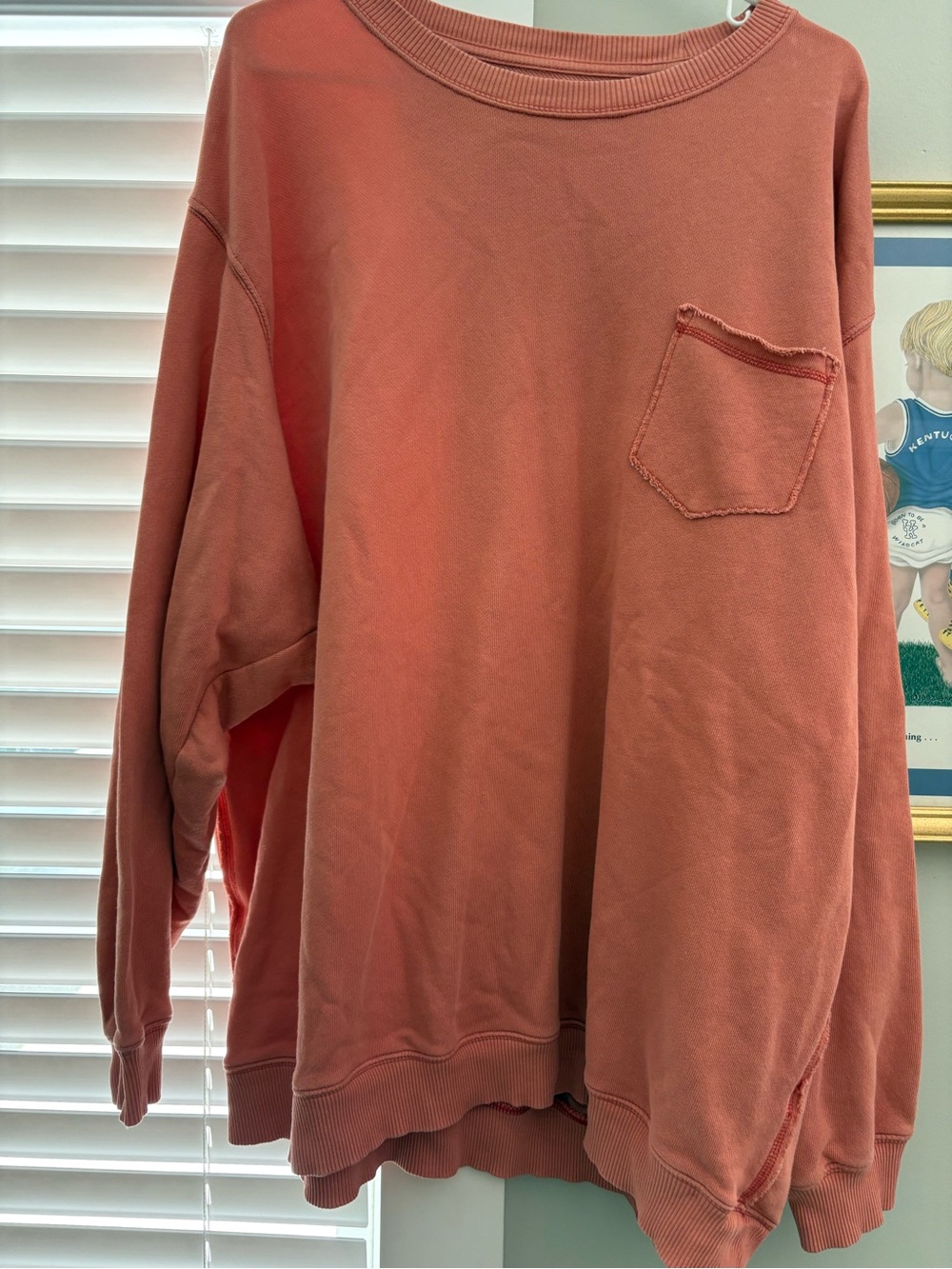 aerie Oversized Pocket Crewneck Sweatshirt - Dusty Coral